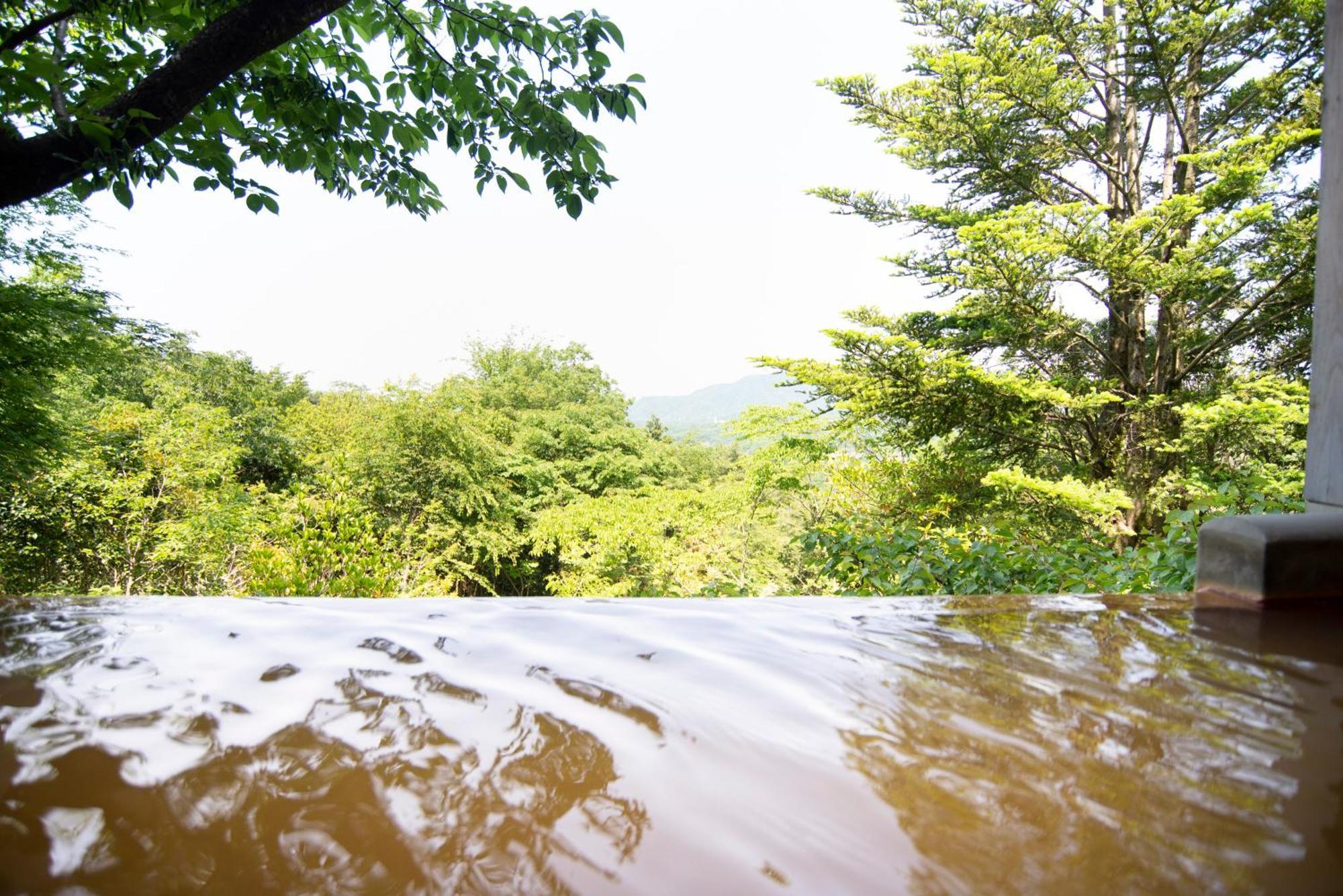 Ryokan Arima Onsen Motoyu Ryuusenkaku 3*