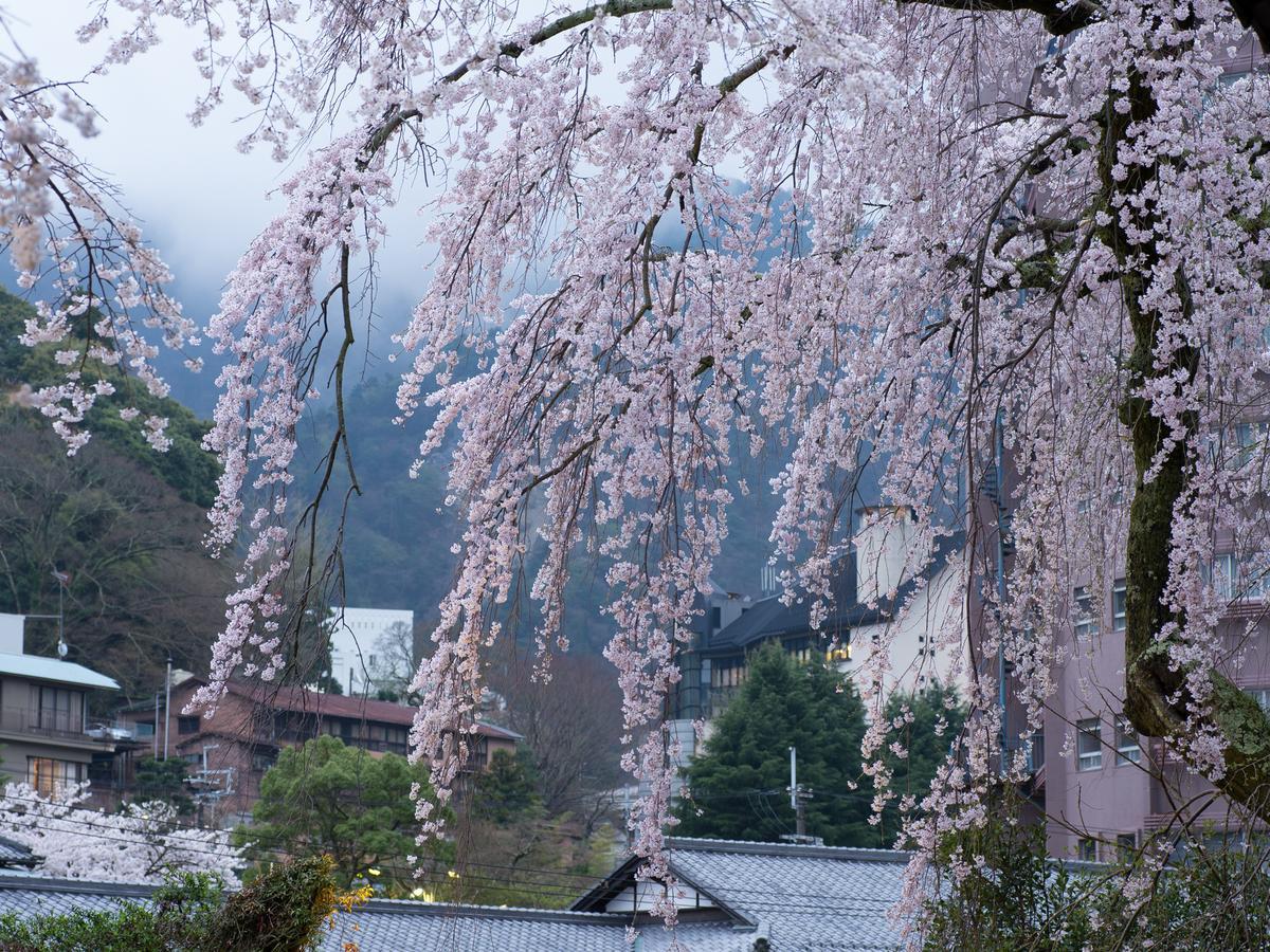 Arima Onsen Motoyu Ryuusenkaku Kobe