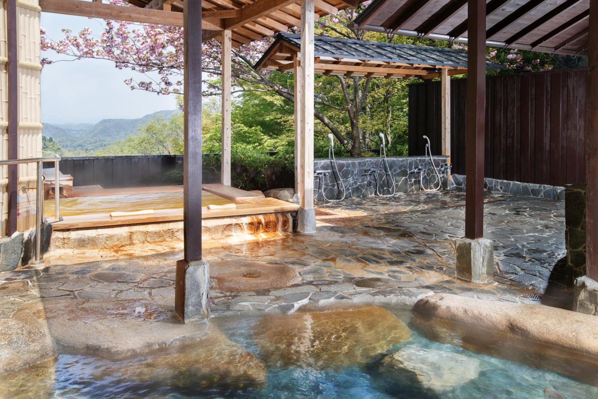有马温泉元汤龙泉阁日式旅馆 3*